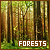 Forest Fanlisting